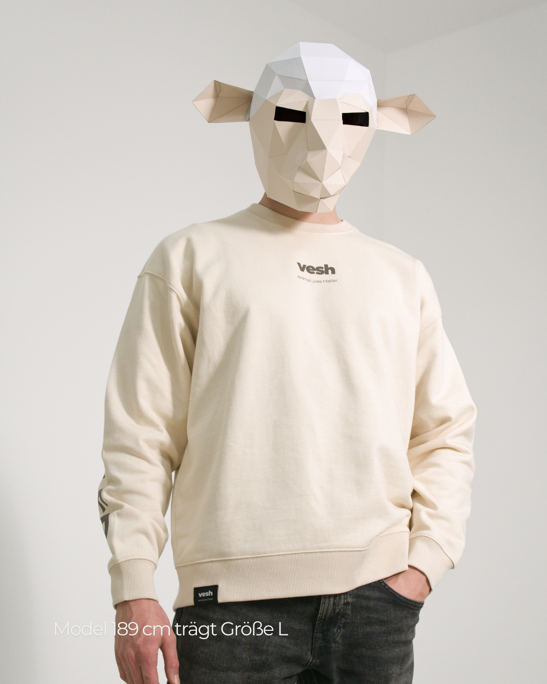 ALM Sweatshirt