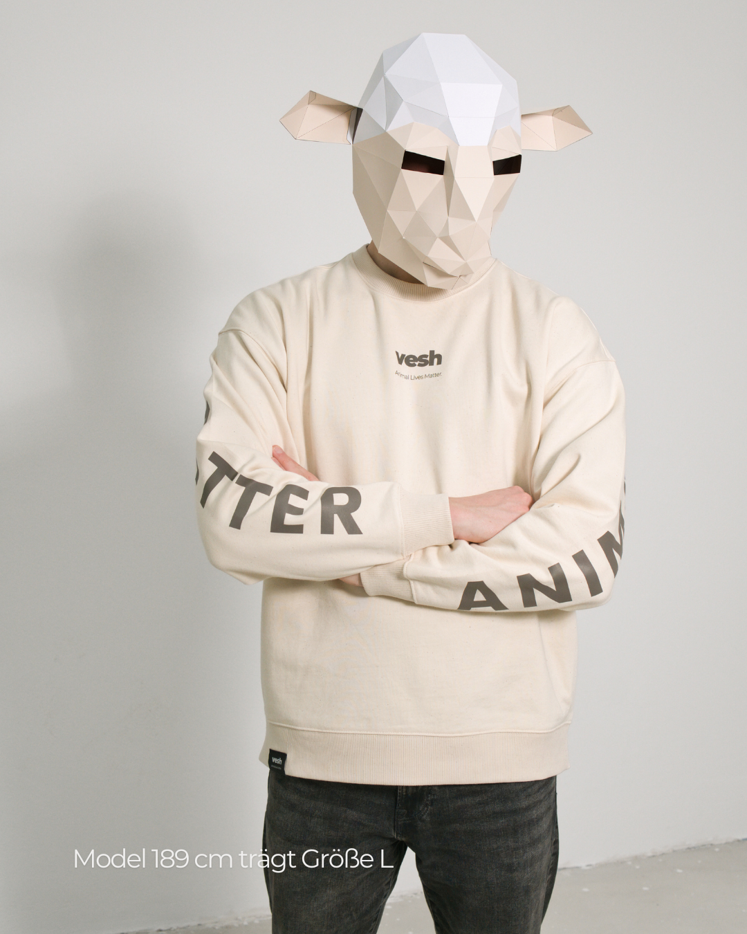 ALM Sweatshirt