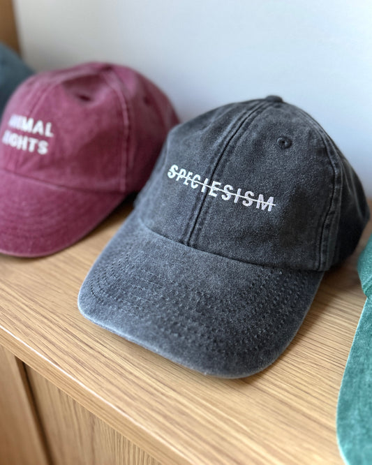 Statement Cap