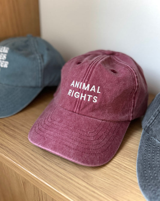 Statement Cap